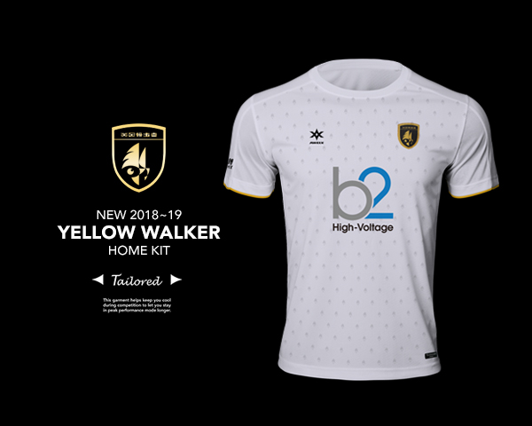 YELLOW WALKER 2018~19 Home kit